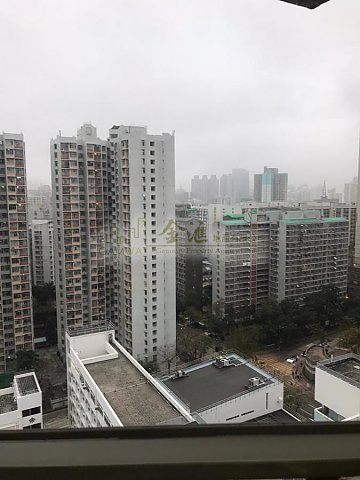 嘉強苑 橫頭磡 高層 W036653 售盤