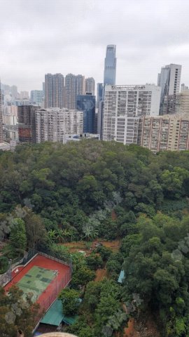 荃灣中心 荃灣中心
