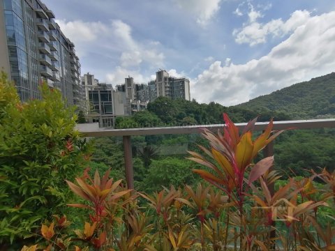 九肚山富豪山峰 95080030