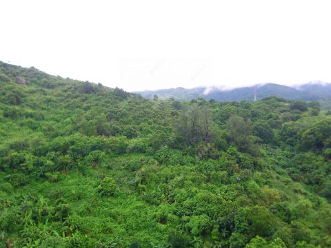 荃威花園