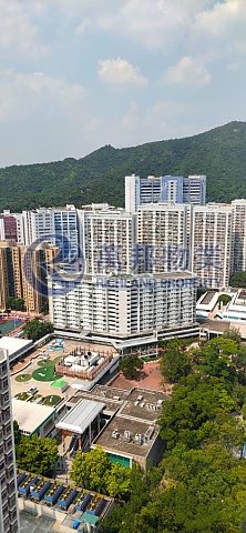大埔中心