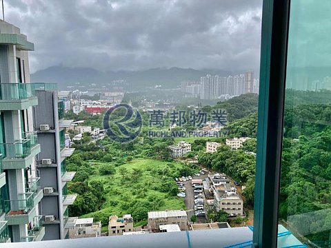 嵐山 大埔 高層 R125831 售盤