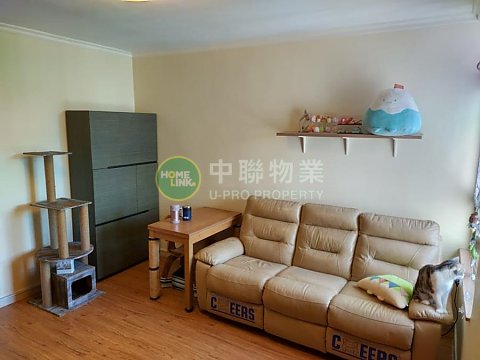 FUNG SHING COURT  Shatin H T164817 For Buy
