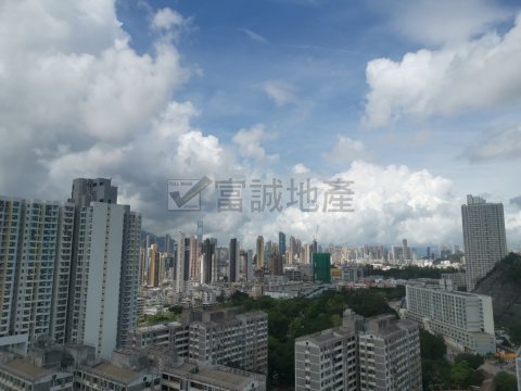 東頭村^^減價筍盤^^高層大大間 九龍城 高層 L086394 售盤
