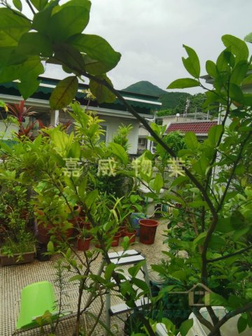 牛皮沙舊村 @ EMILY 95080096