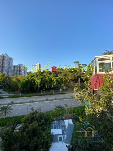 沙田圍舊村 @ EMILY 95080096