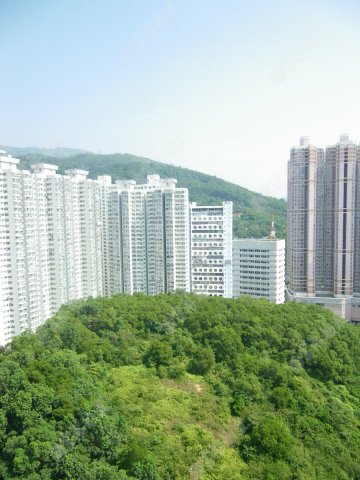 錦豐園