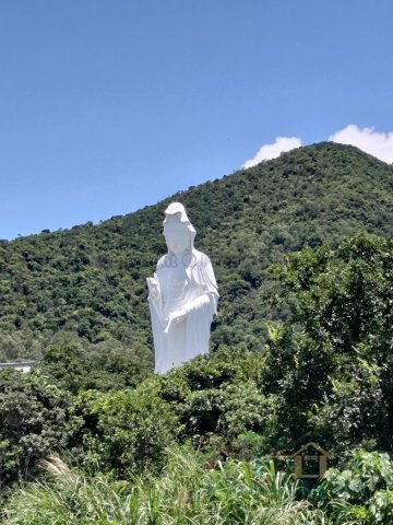 布心排 95080030