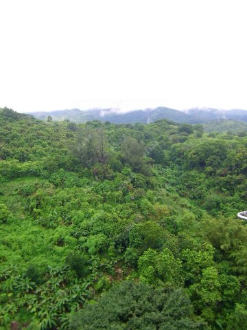 荃威花園