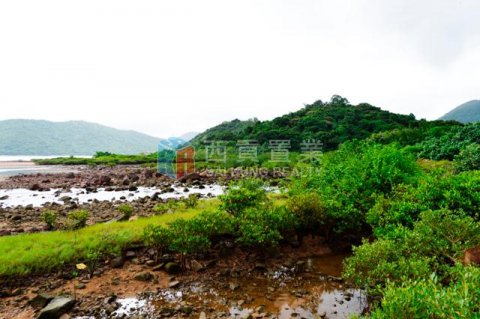 大灘村
