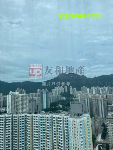 豪門 九龍城 高層 T165364 售盤