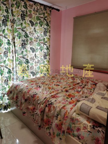水窩 *** 黃小姐 95081731 ***