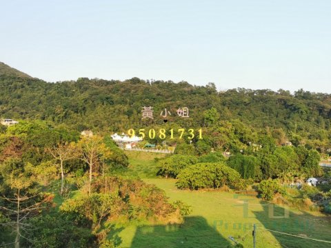 鳳園 大埔 J131063 售盤