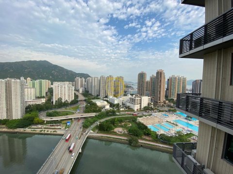 弦海