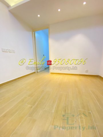 沙田圍舊村 @ EMILY 95080096