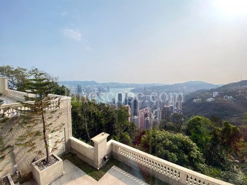 MOUNT AUSTIN 山頂 1235401 售盤