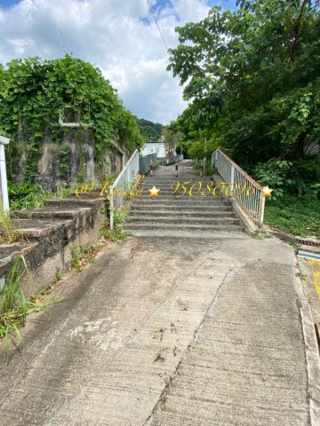 隔田村 南軒路