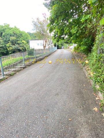 隔田村 南軒路