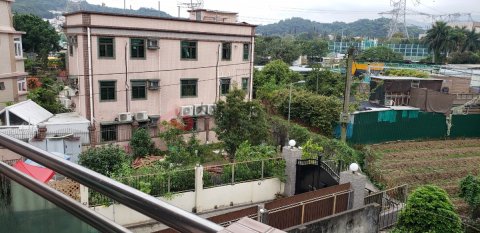 近大路口，單邊，開揚，翠綠，可養小狗 大埔 中層 002621 售盤