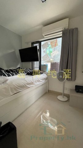 荔枝山 95080030