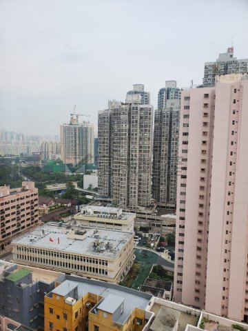 EVERGREEN TWRS Wong Tai Sin M F089511 For Buy