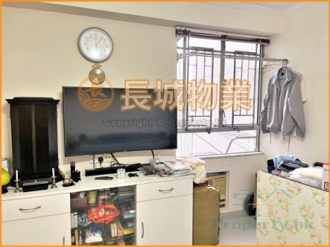 新興花園 大埔 高層 A039103 售盤