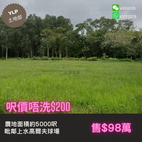 Sheung Shui M071381 For Buy