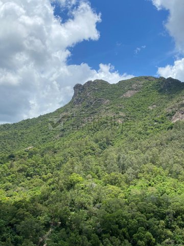 竹園北村 黃大仙 高層 F086005 售盤
