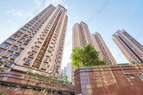 新港城 馬鞍山 低層 1209924 售盤