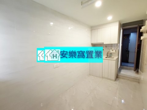 聯和墟 粉嶺 1176371 售盤