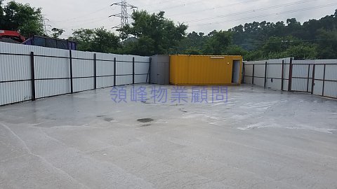 坪輋 粉嶺 低層 T000180 售盤
