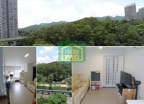 KING TIN COURT  Shatin L T013340 For Buy