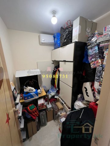 社山村 95081731