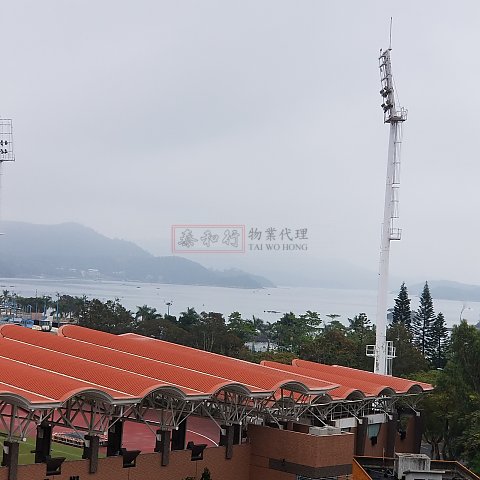 專業推介、綿綿山海、西貢市