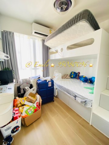 田園閣 @ EMILY 95080096