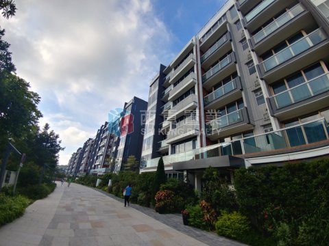 傲瀧 