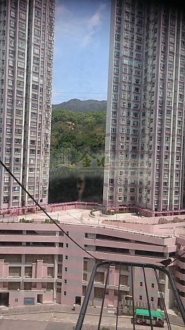 瓊麗苑 牛池灣 中層 D099534 售盤