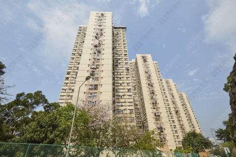 悅麗苑 葵涌 低層 1233733 售盤