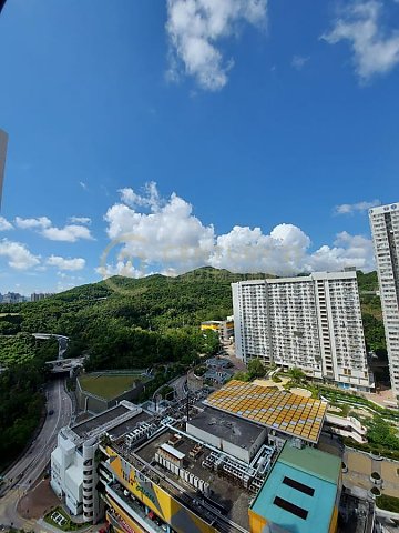 景明苑 將軍澳 高層 F173061 售盤