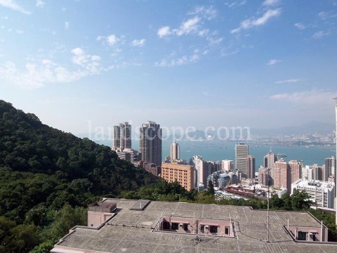 杏彤苑 西半山 1410910 售盘