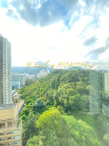翠麗花園 沙田 高層 H010649 售盤