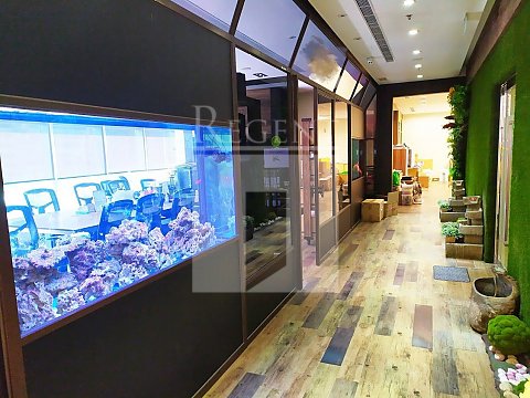 KING PALACE PLAZA (皇廷廣場) 