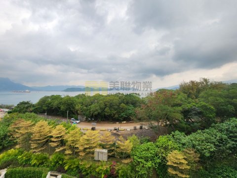 泓碧 馬鞍山 全幢 1217535 售盤