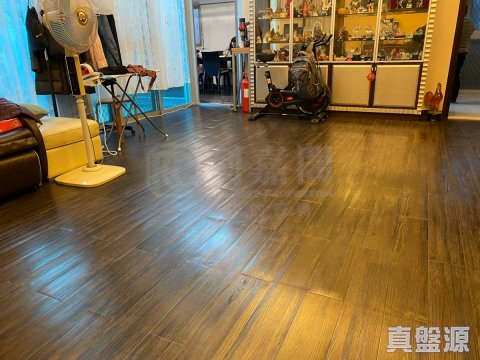 邁爾豪園 上水 全幢 1265389 售盤