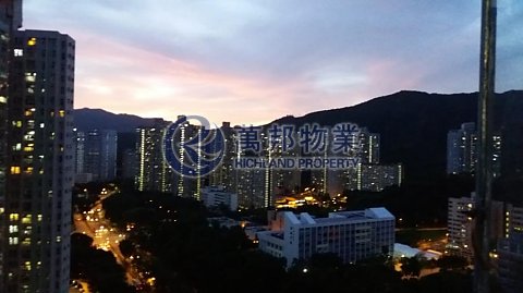 富善村 大埔 高層 R119810 售盤