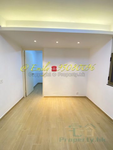 沙田圍舊村 @ EMILY 95080096