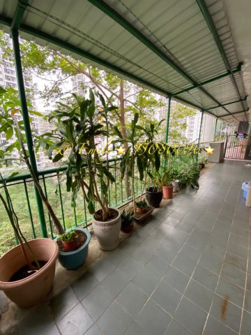 桂地新村 @ EMILY 95080096