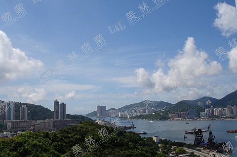 llam.com.hk