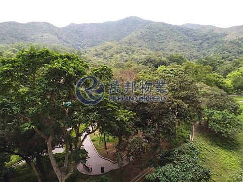 嵐山 大埔 低層 R125128 售盤