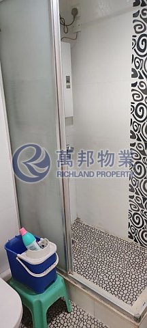 太和村 大埔 低層 R101700 售盤